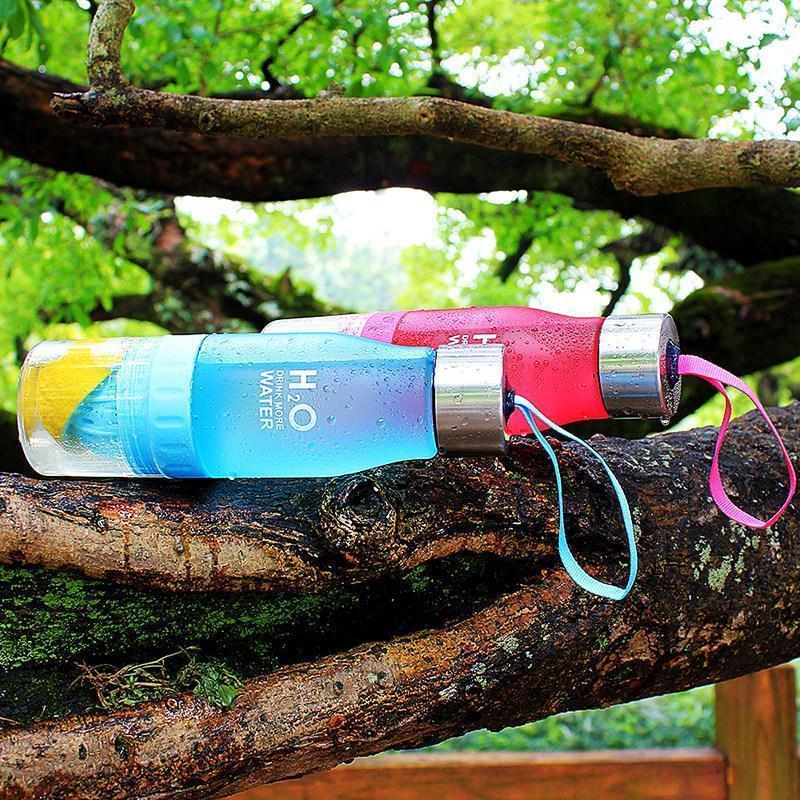 H²O Fruit Infuser Water Bottle in blue and pink colors on a tree branch, perfect for flavored hydration.